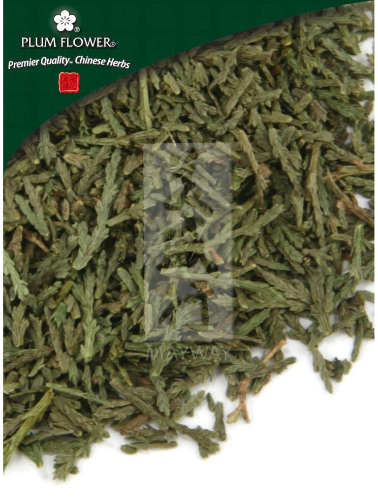 Biota orientalis leaf, Whole Herb, 500 grams, Ce Bai Ye