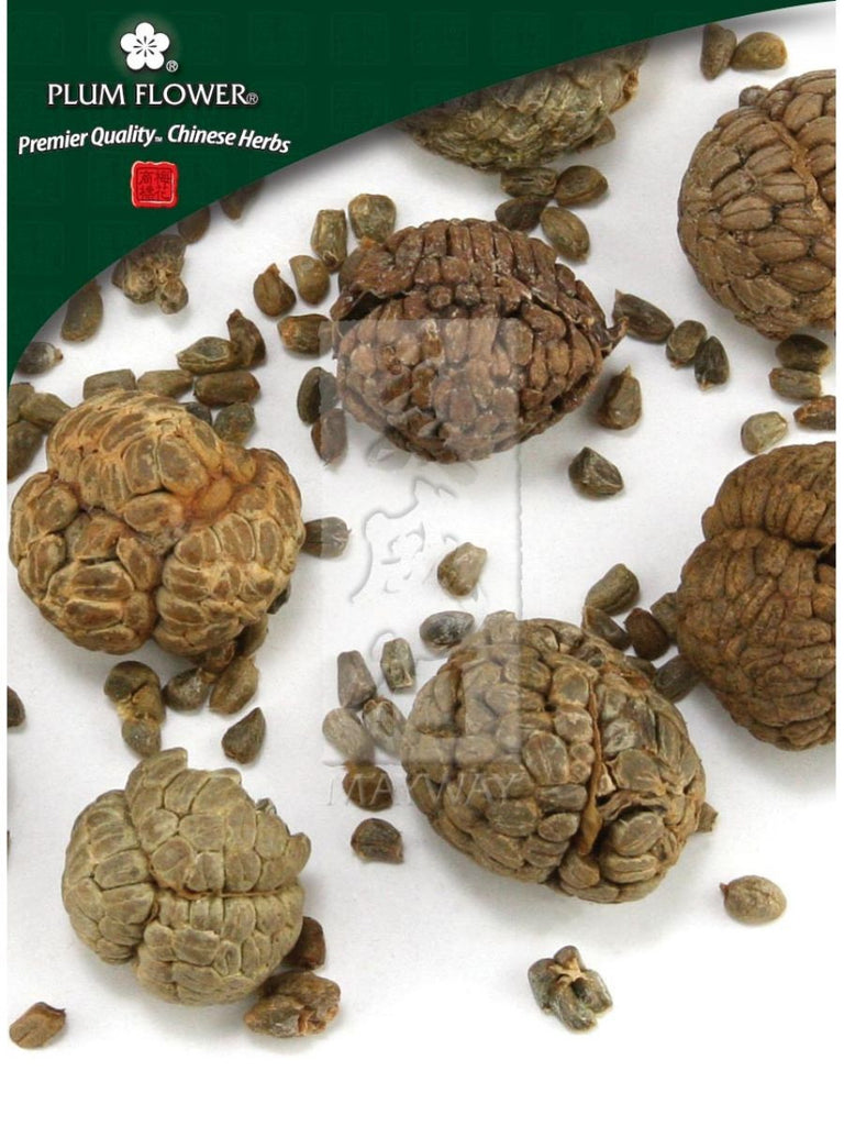 Alpinia katsumadai seed, Whole Herb, 500 grams, Cao Dou Kou