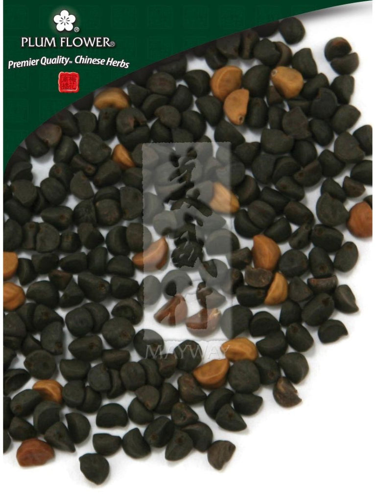 Pharbitis nil seed, Whole Herb, 500 grams, Qian Niu Zi