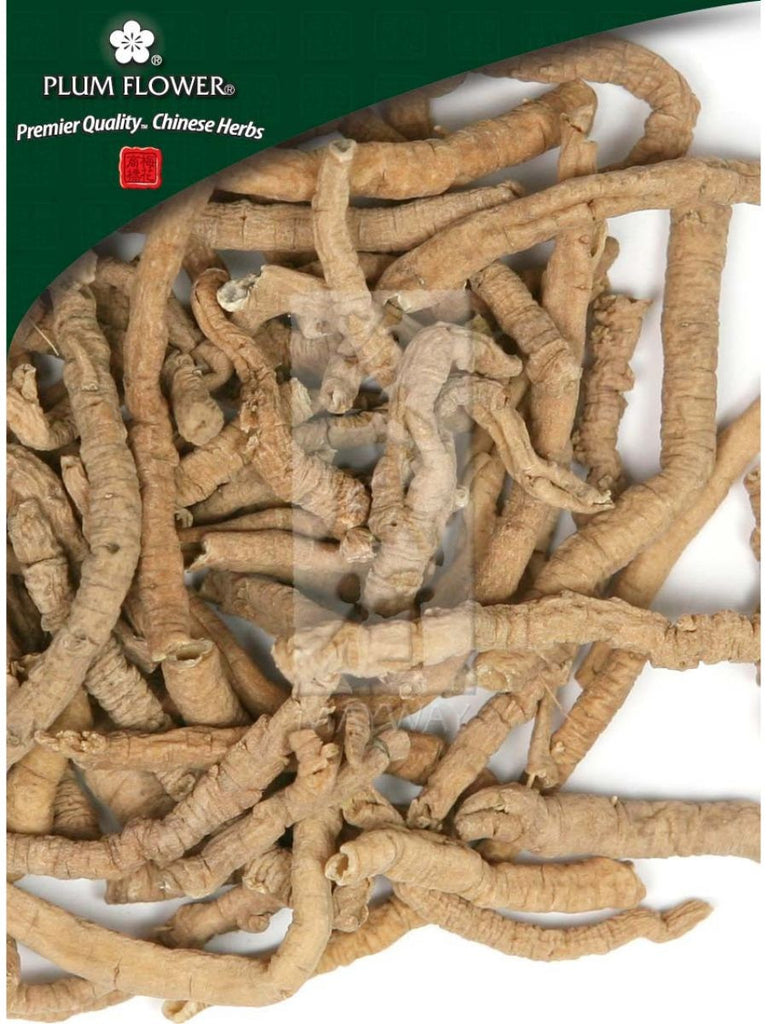 medium, Polygala tenuifolia root, Whole Herb, 500 grams, Yuan Zhi