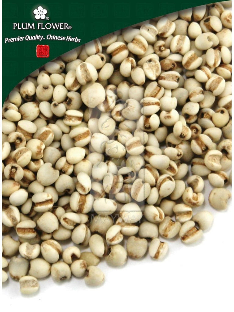 Coix lachryma jobi seed, Whole Herb, 500 grams, Yi Yi Ren