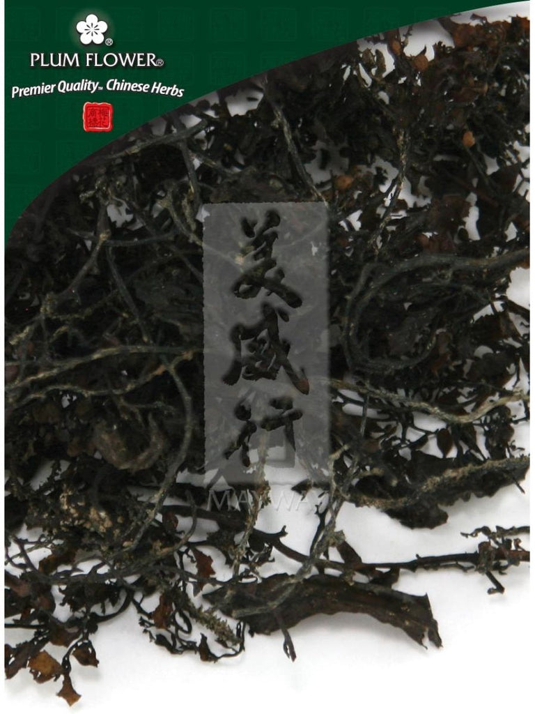 Sargassum pallidum herb, Whole Herb, 500 grams, Hai Zao