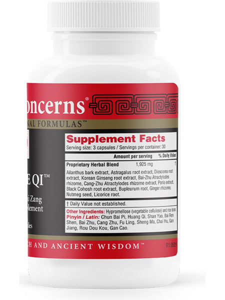 Health Concerns, Source Qi, 90 ct