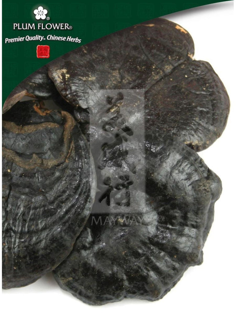 black, Ganoderma sinense fungus, Whole Herb, 500 grams, Ling Zhi
