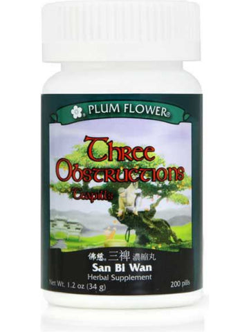 Three Obstructions Teapills, San Bi Wan, 200 ct, Plum Flower