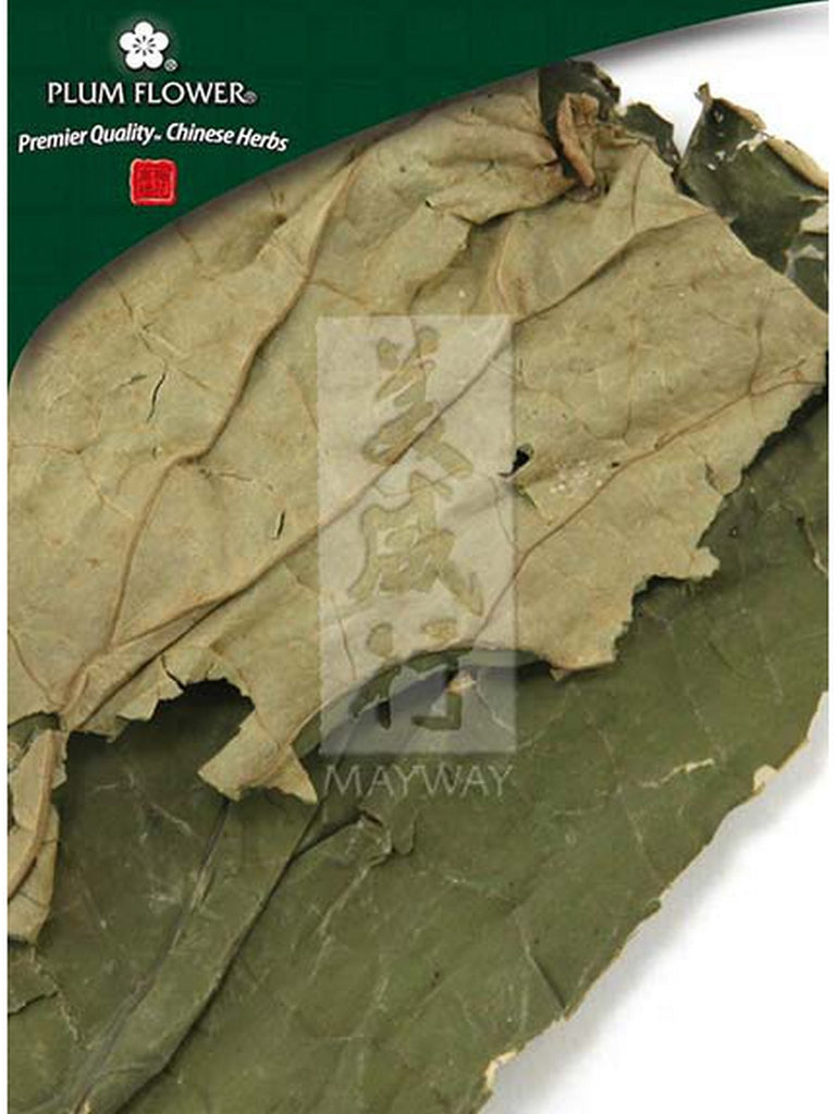 Plum Flower, He Ye / Lian Ye, Nelumbo nucifera leaf, Whole Herb, 250 grams