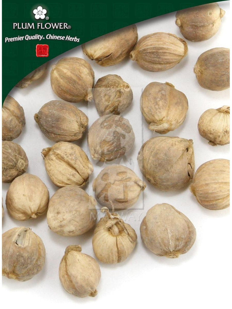 Amomum kravanh fruit, Whole Herb, 500 grams, Bai Dou Kou