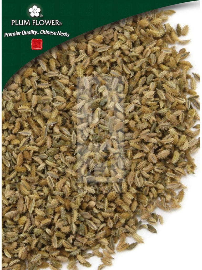 Carpesium abrotanoides fruit, Whole Herb, 500 grams, He Shi