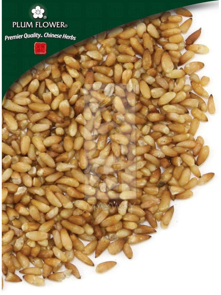 Biota orientalis seed, Whole Herb, 500 grams, Bai Zi Ren