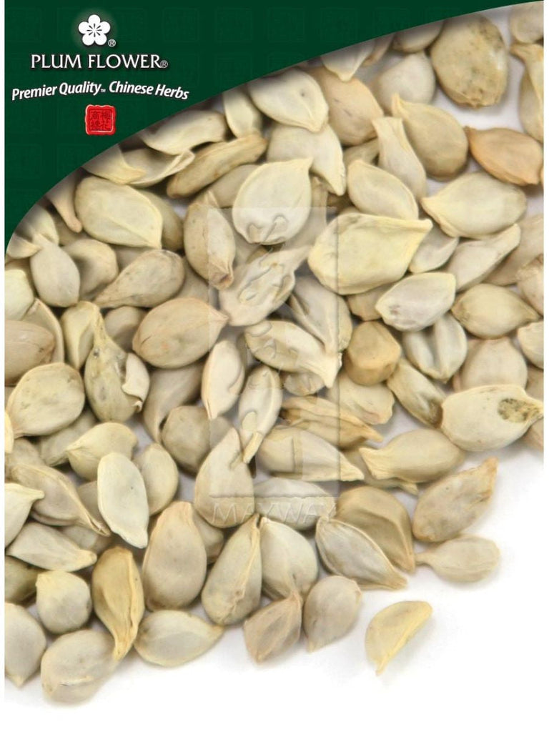 Citrus reticulata seed, Whole Herb, 500 grams, Ju He