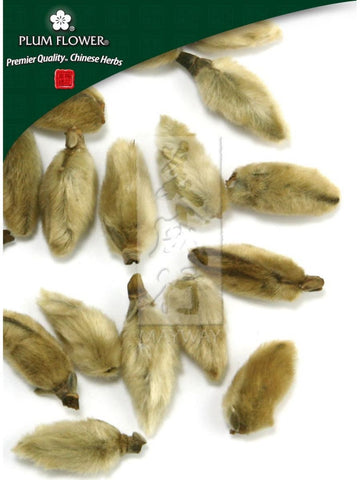 Magnolia denudata flower, Whole Herb, 500 grams, Xin Yi Hua