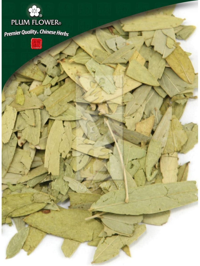 Cassia angustifolia leaf, Whole Herb, 500 grams, Fan Xie Ye
