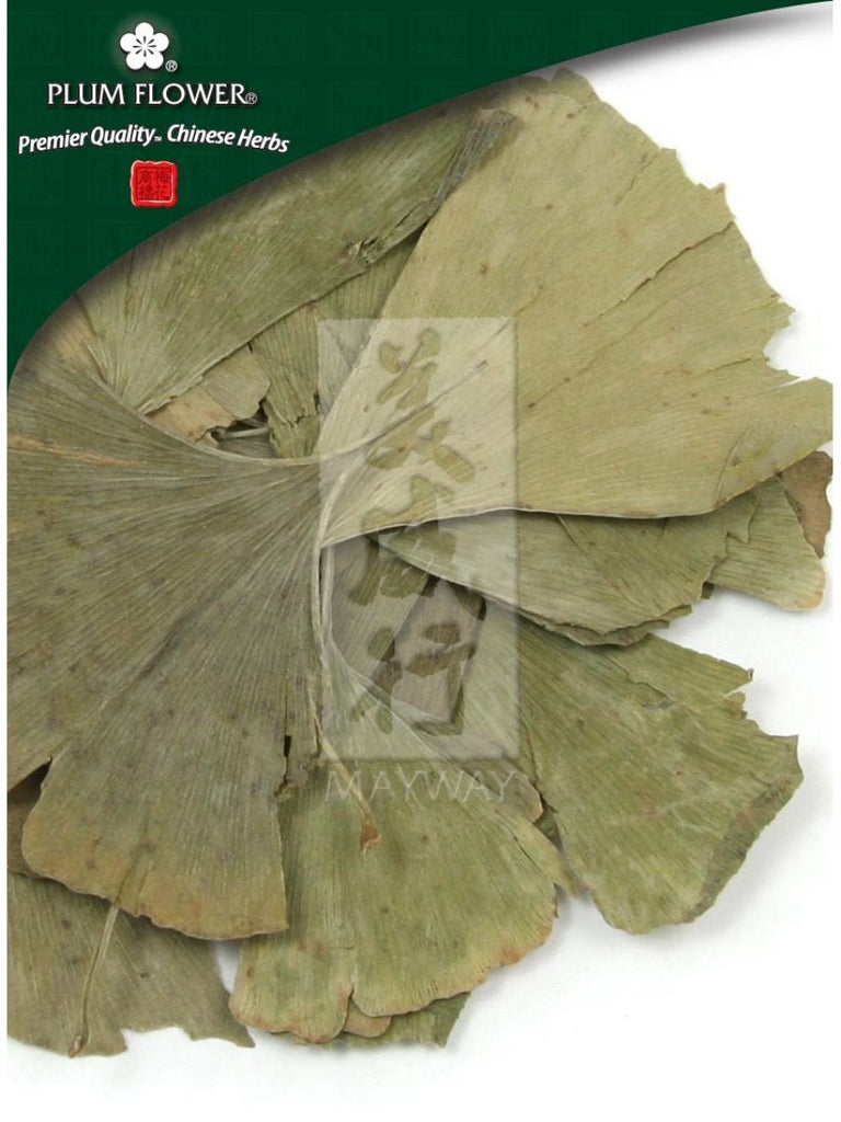 Ginkgo biloba leaf, Whole Herb, 500 grams, Bai Guo Ye