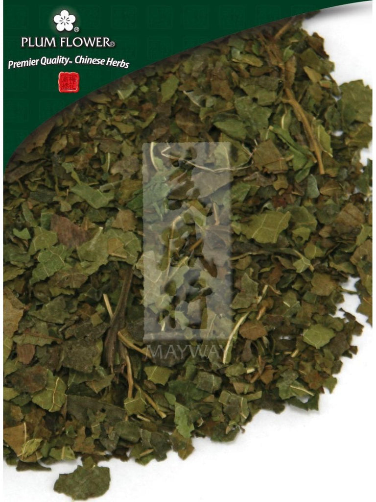 Morus alba leaf, Whole Herb, 500 grams, Sang Ye