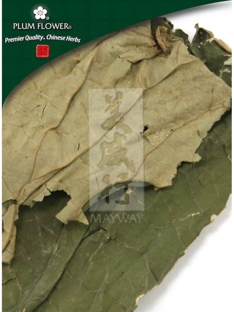 Nelumbo nucifera leaf, Whole Herb, 250 grams, He Ye / Lian Ye