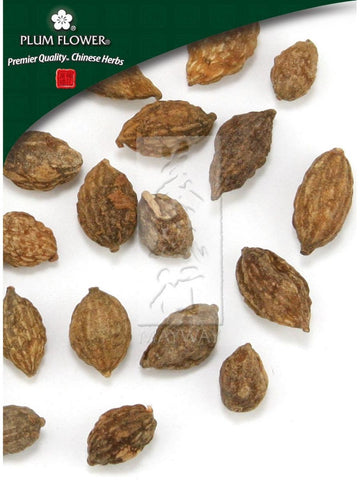 Alpinia oxyphylla fruit, Whole Herb, 500 grams, Yi Zhi Ren
