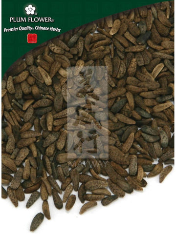 Arctium lappa fruit, Whole Herb, 500 grams, Niu Bang Zi