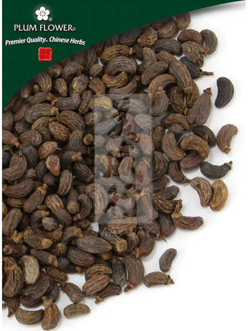 Ligustrum lucidum fruit, Whole Herb, 500 grams, Nu Zhen Zi