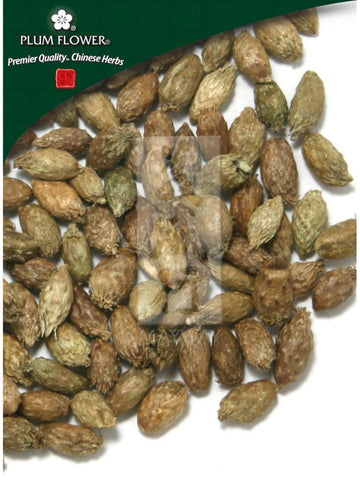 Xanthium sibiricum fruit, Whole Herb, 500 grams, Cang Er Zi