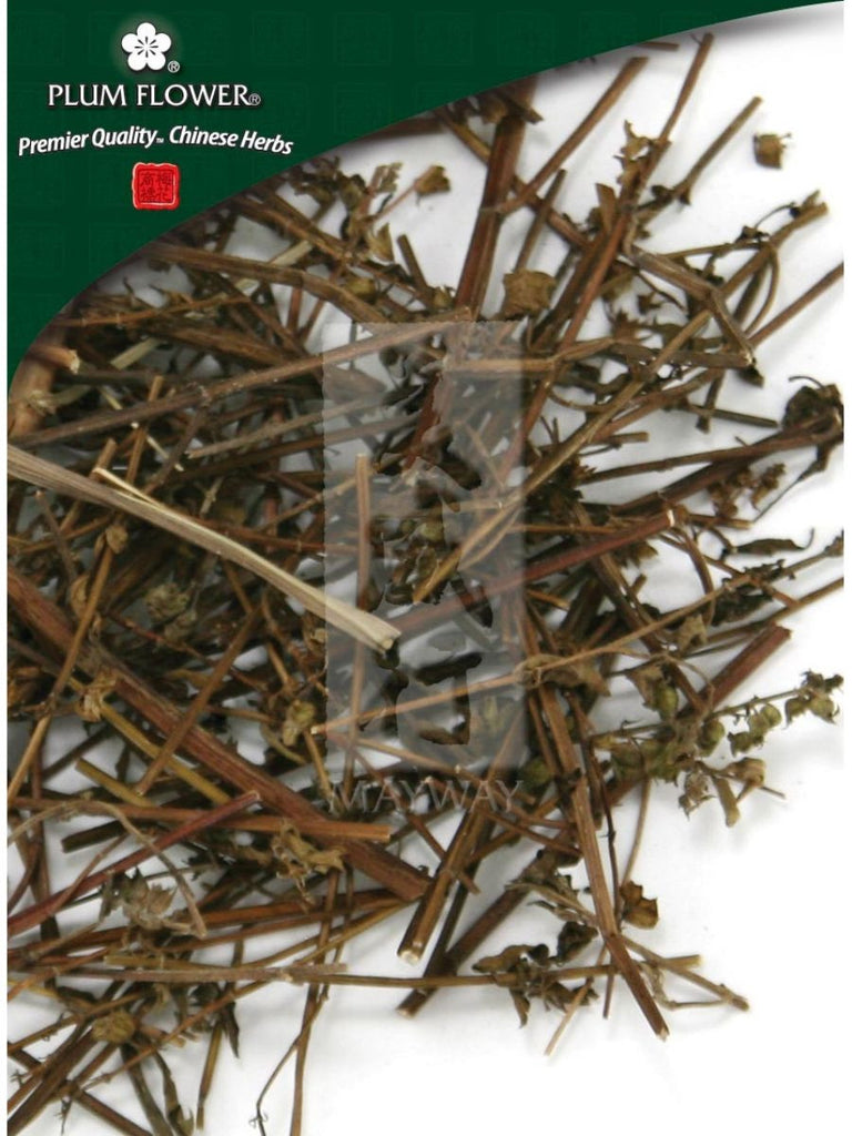 Elsholtzia splendens herb, Whole Herb, 500 grams, Xiang Ru Cao