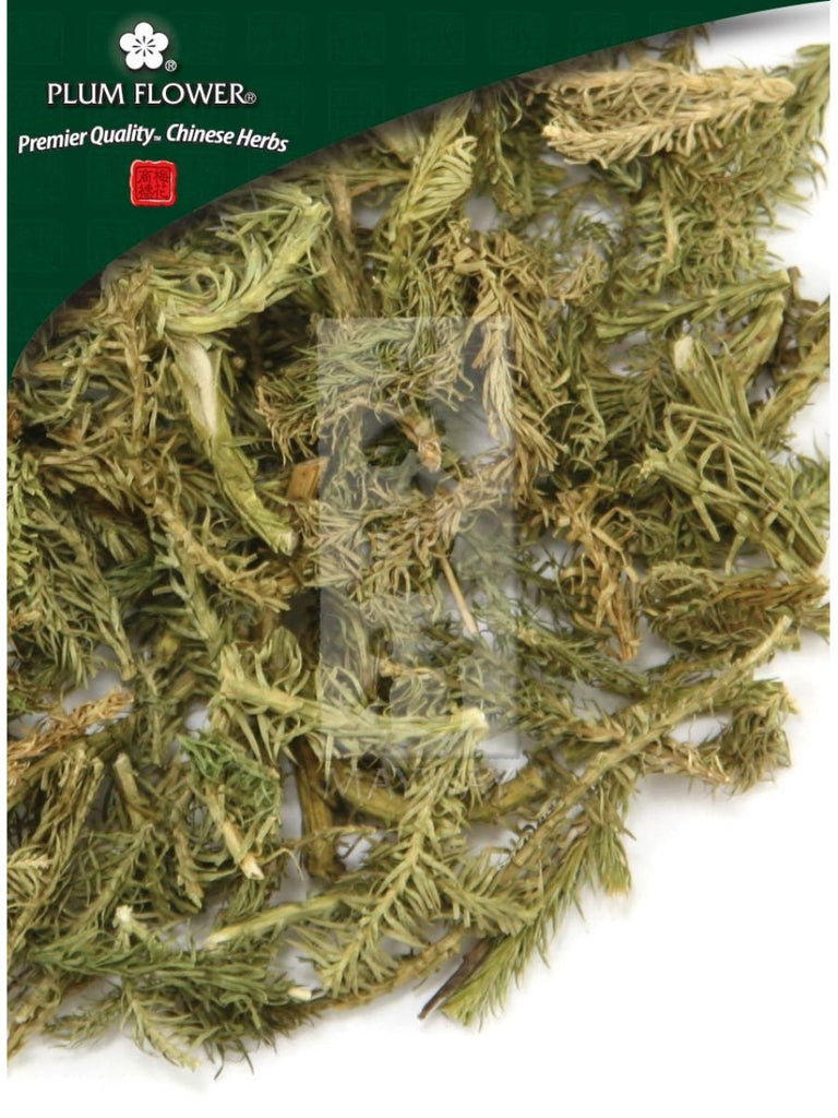 Lycopodium japonicum herb, Whole Herb, 500 grams, Shen Jin Cao