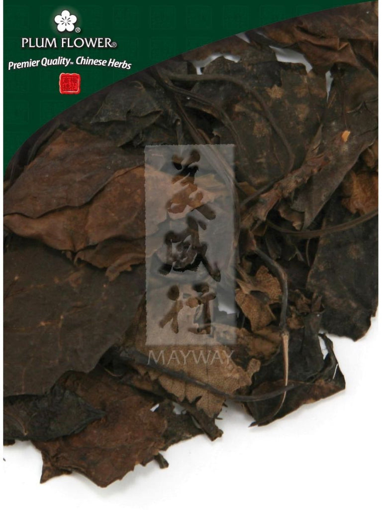 Pyrola calliantha herb, Whole Herb, 300 grams, Lu Xian Cao