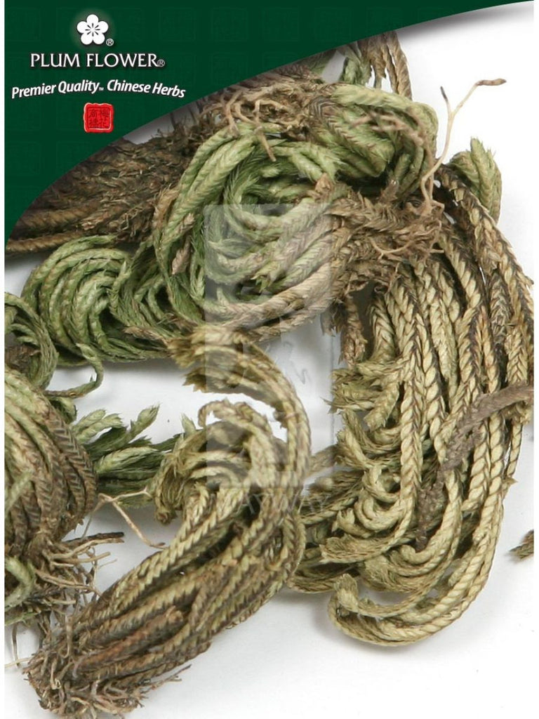 Selaginella involvens herb, Whole Herb, 500 grams, Juan Bai