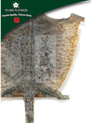 Gekko gecko, Whole Herb, 2 pair, Ge Jie